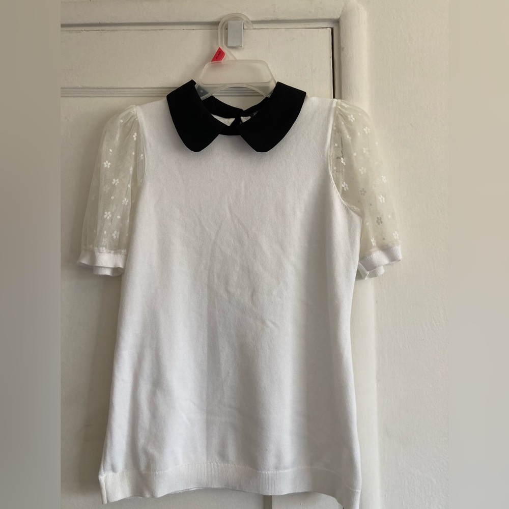 Adrianna Papell Black and White Blouse with Peter Pan Collar